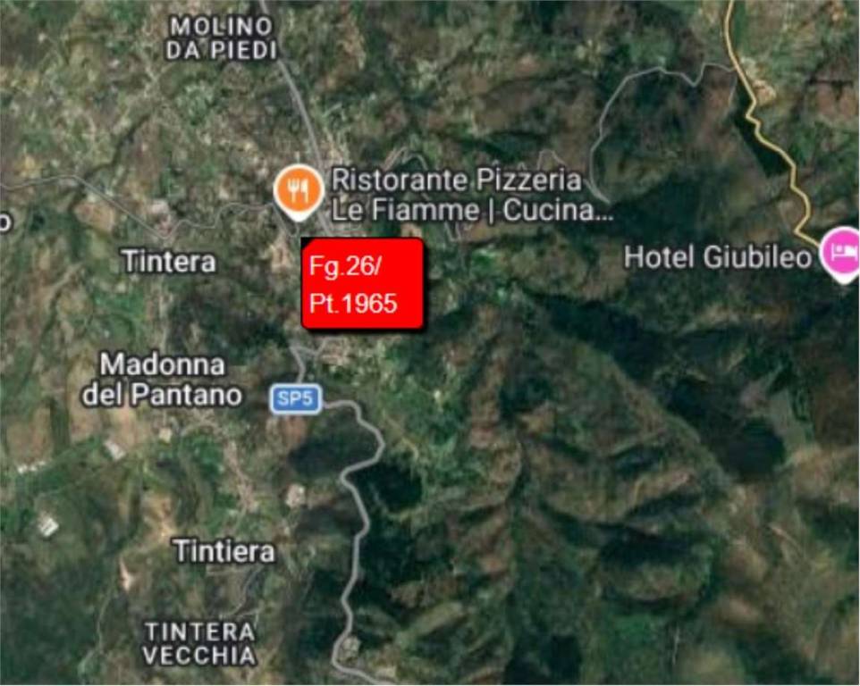 immagine annuncio 5 di 14