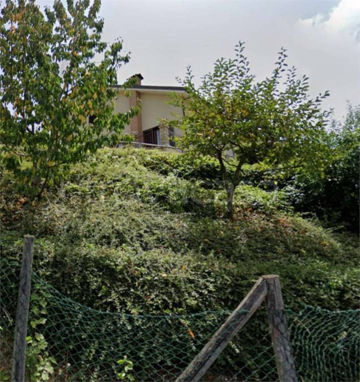 immagine annuncio 12 di 14