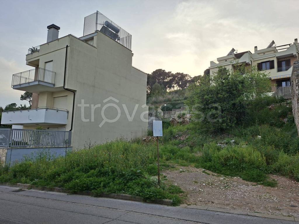 immagine annuncio 3 di 10