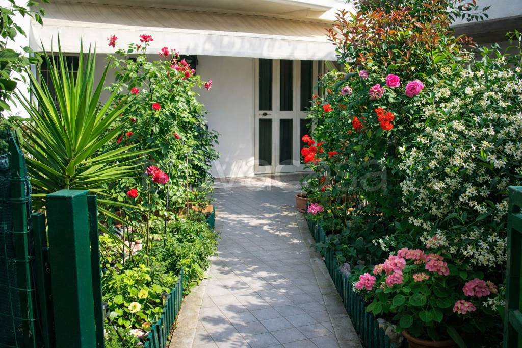 immagine annuncio 7 di 14