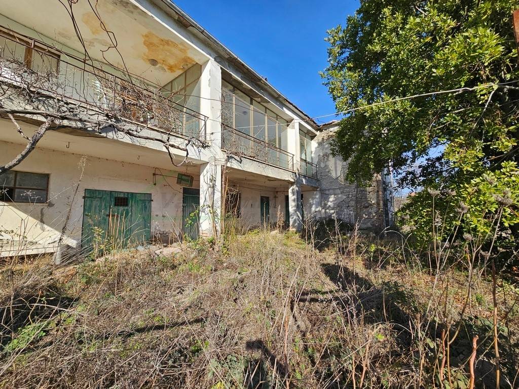 immagine annuncio 2 di 4