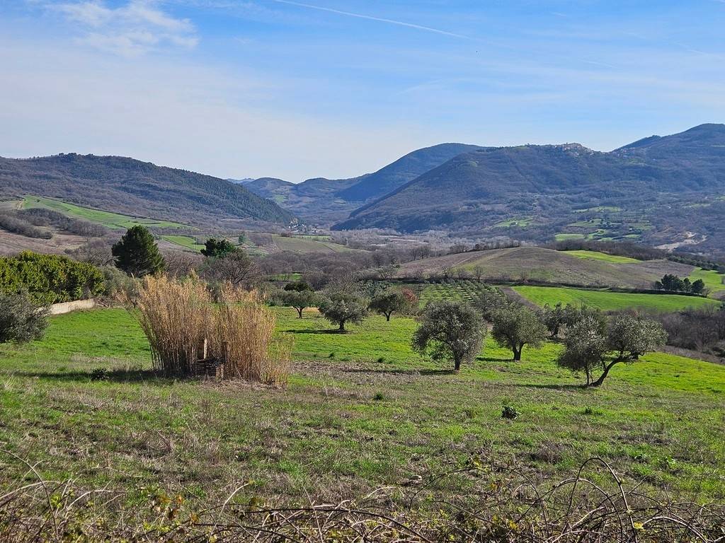 immagine annuncio 3 di 4