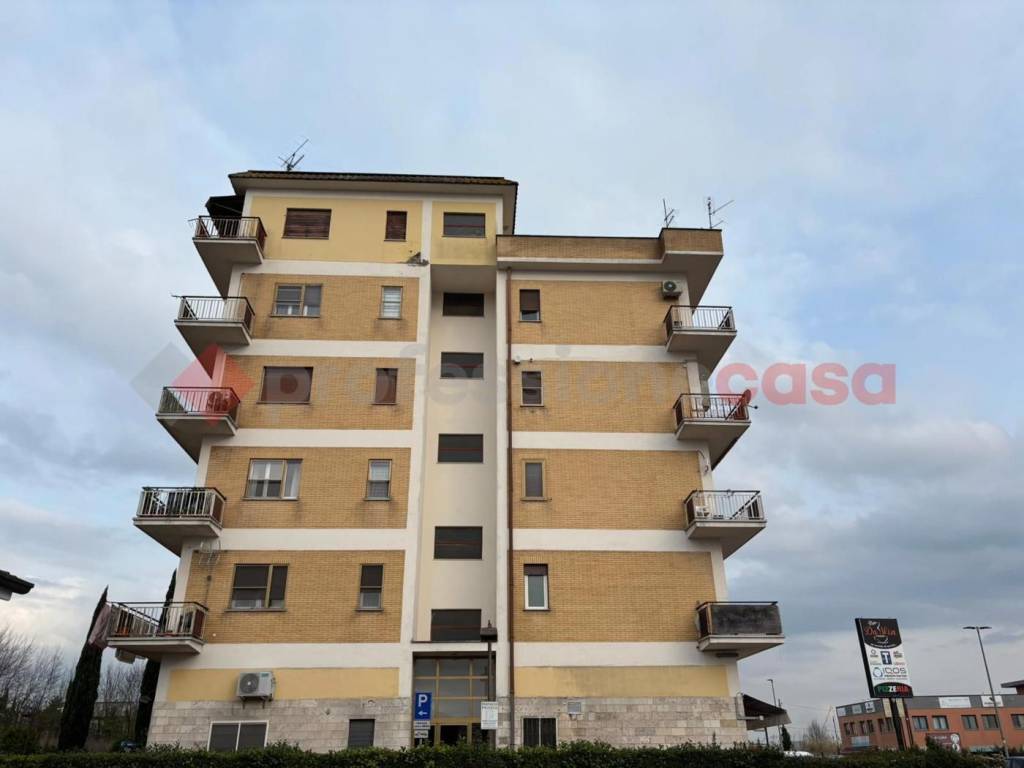 immagine annuncio 4 di 11