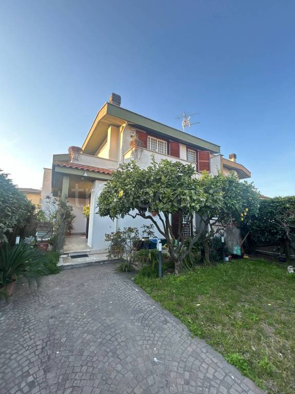 immagine annuncio 14 di 15