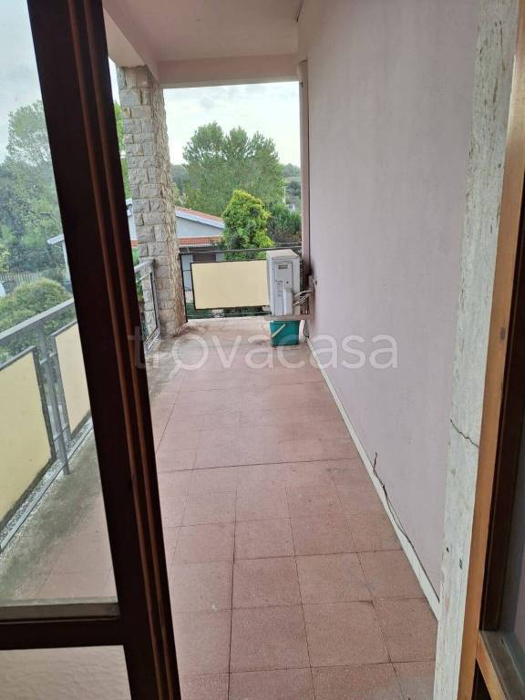 immagine annuncio 11 di 14