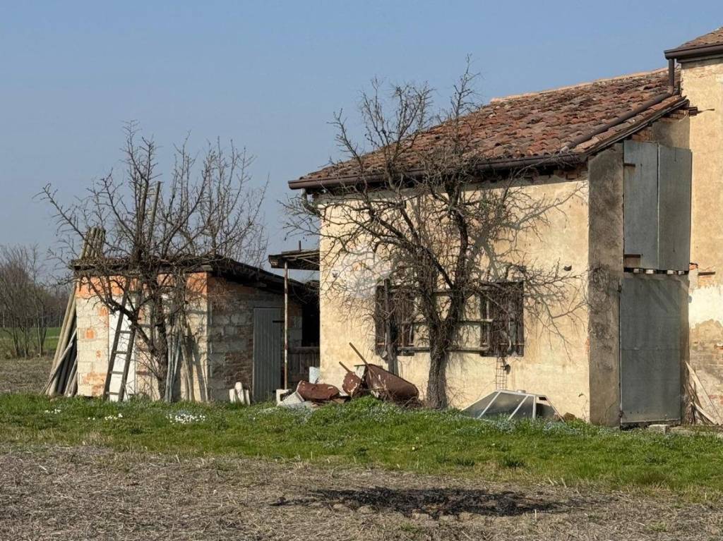 immagine annuncio 4 di 12