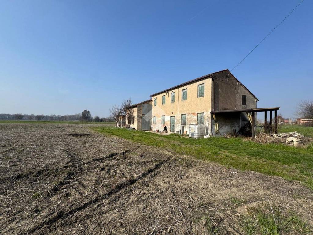 immagine annuncio 6 di 12