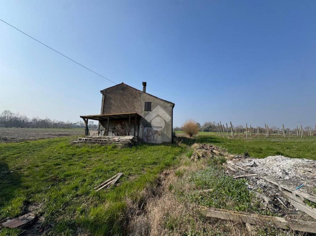 immagine annuncio 7 di 12