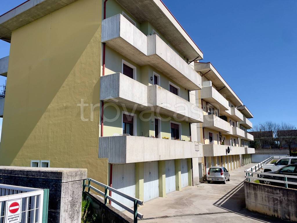 immagine annuncio 1 di 8