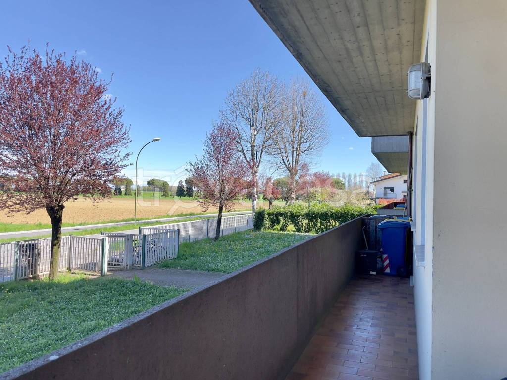 immagine annuncio 4 di 8