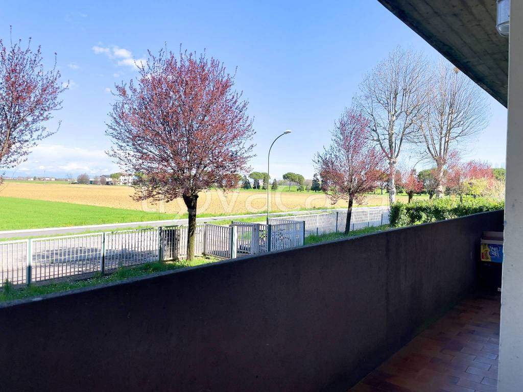 immagine annuncio 5 di 8