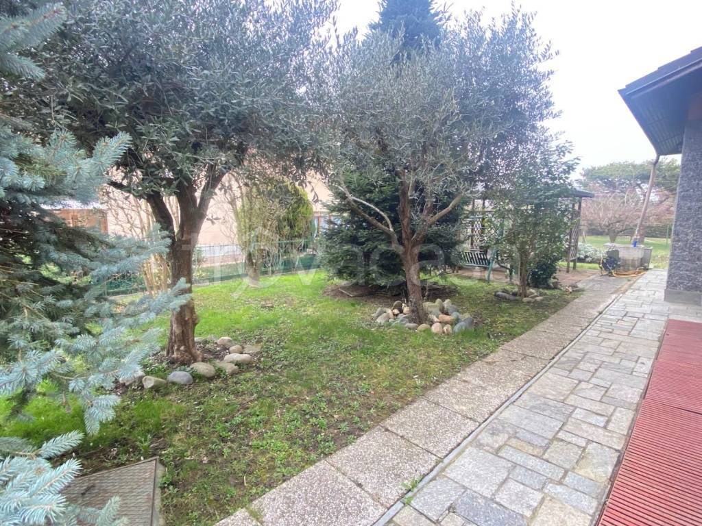 immagine annuncio 6 di 9