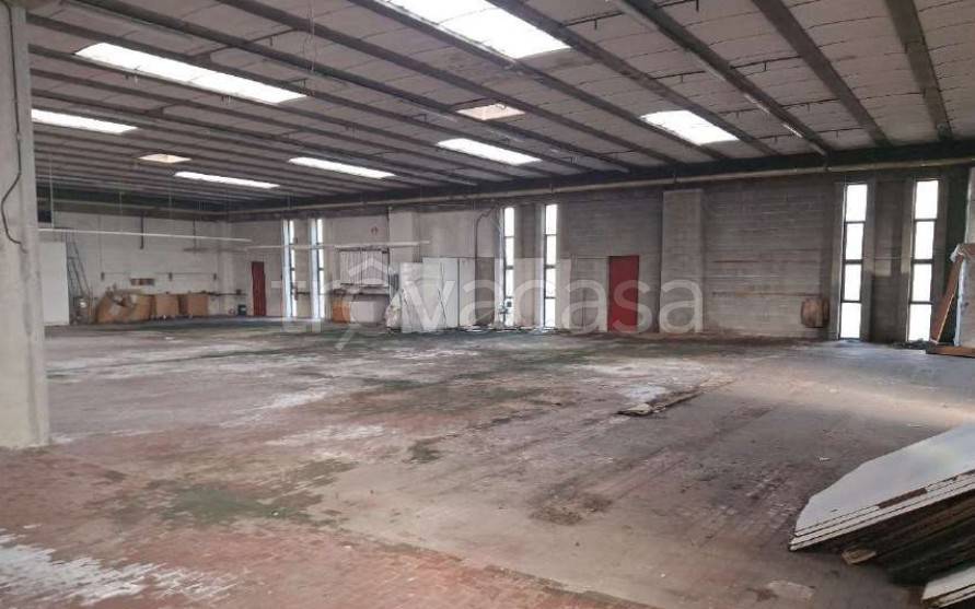 immagine annuncio 1 di 13