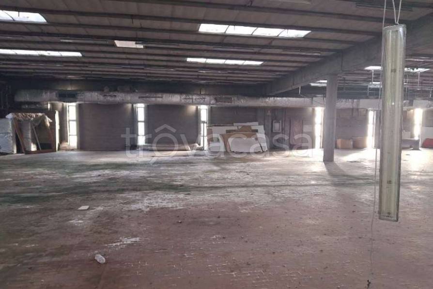 immagine annuncio 4 di 13