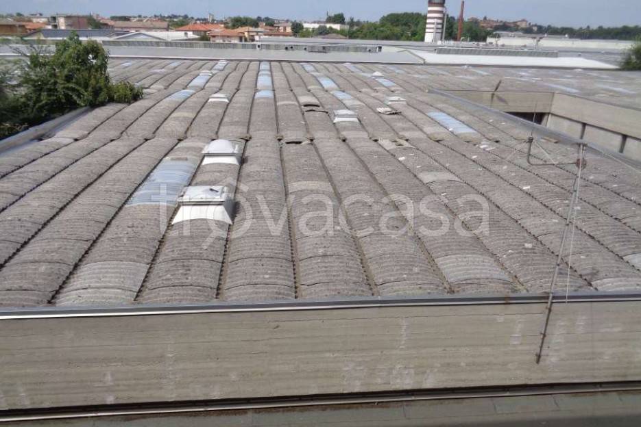 immagine annuncio 9 di 13