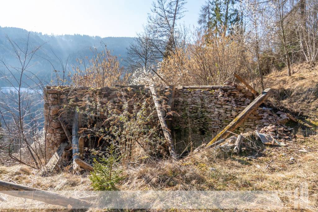 immagine annuncio 4 di 8