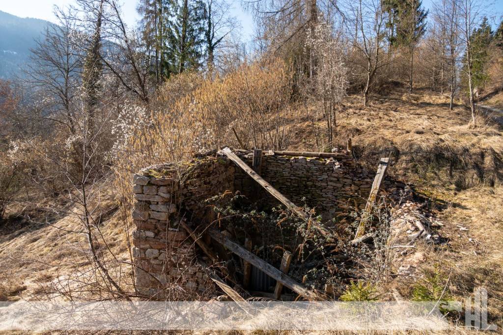 immagine annuncio 5 di 8