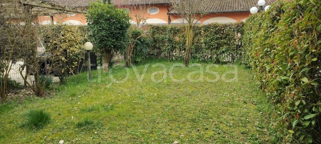 immagine annuncio 3 di 15