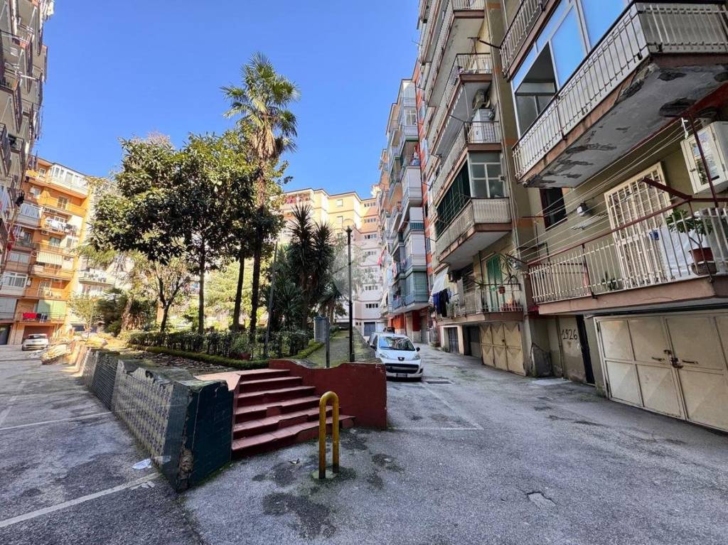 immagine annuncio 7 di 11