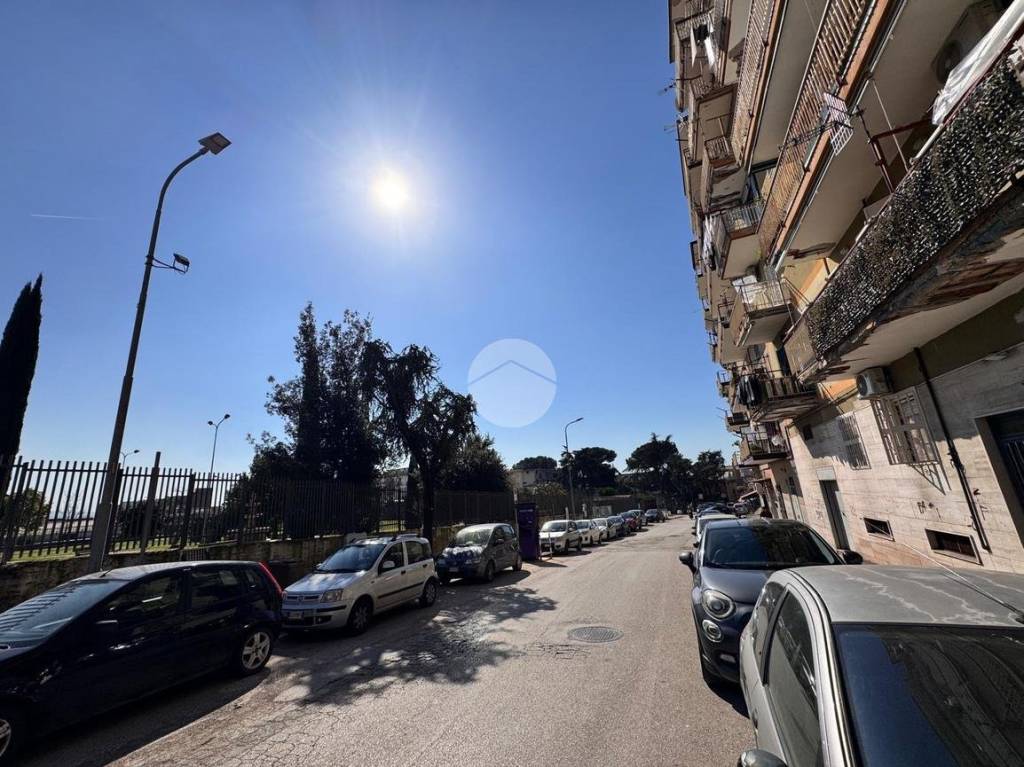 immagine annuncio 8 di 11