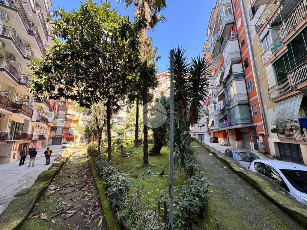 immagine annuncio 9 di 11