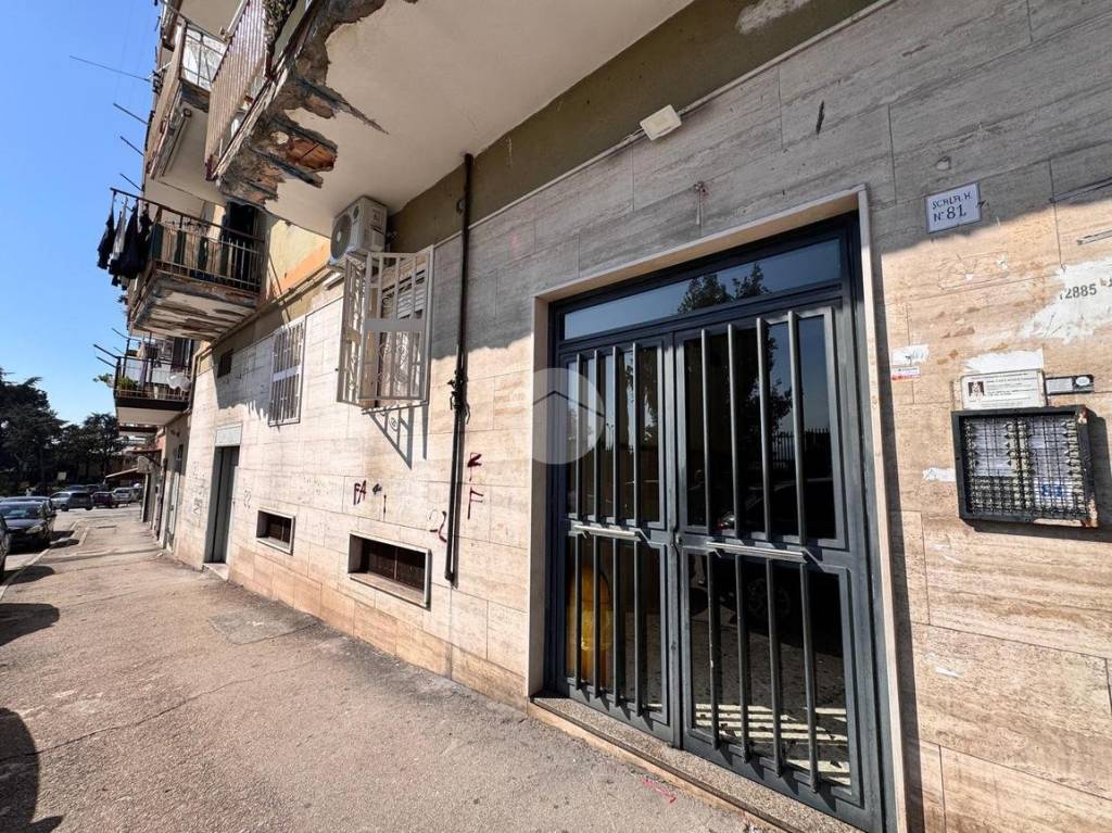 immagine annuncio 10 di 11