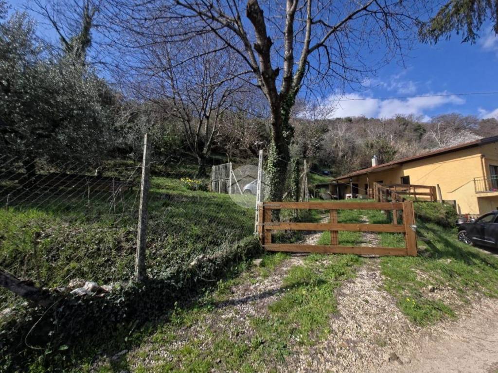 immagine annuncio 2 di 9