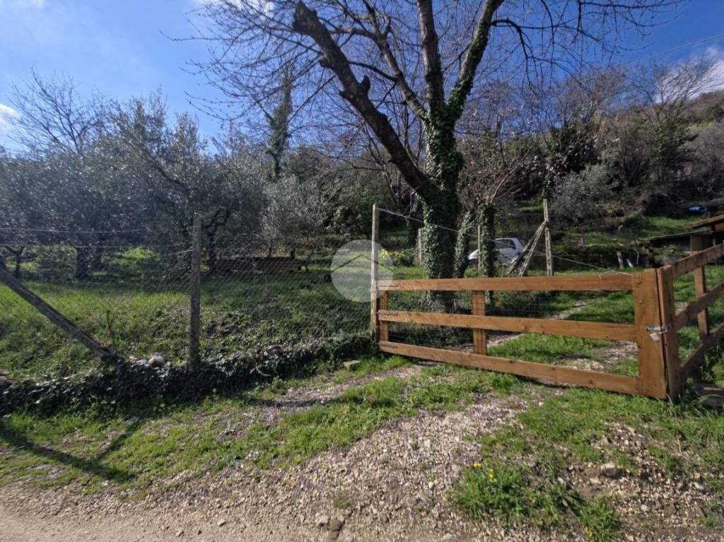 immagine annuncio 3 di 9