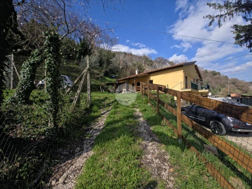 immagine annuncio 5 di 9