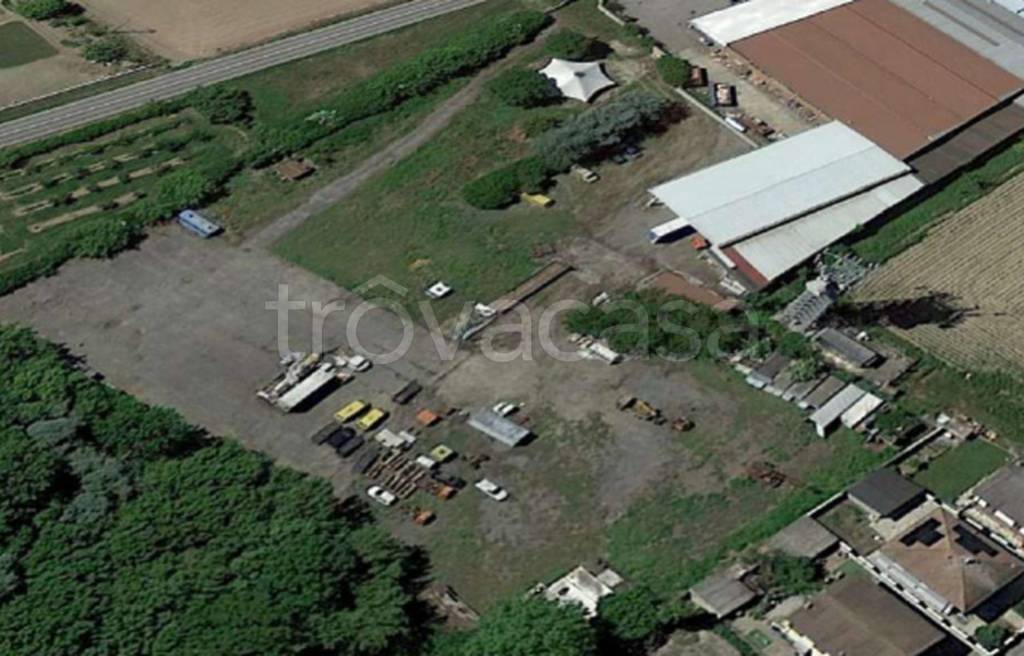 immagine annuncio 3 di 11