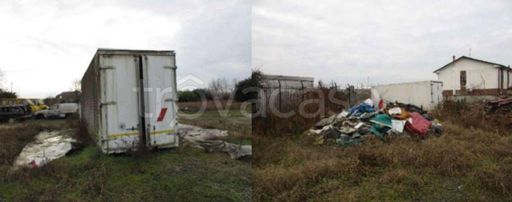 immagine annuncio 6 di 11