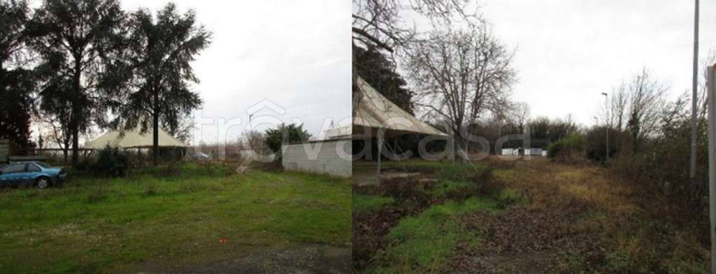 immagine annuncio 10 di 11