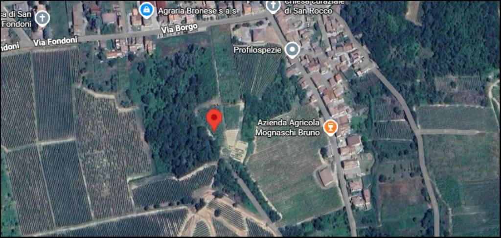 immagine annuncio 11 di 12