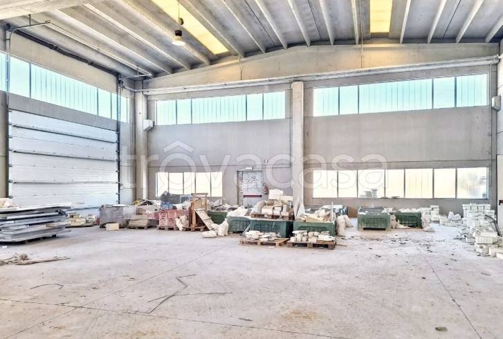 immagine annuncio 2 di 14