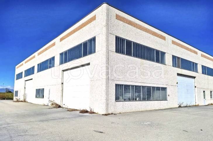 immagine annuncio 5 di 14