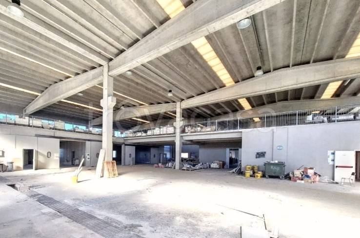 immagine annuncio 6 di 14