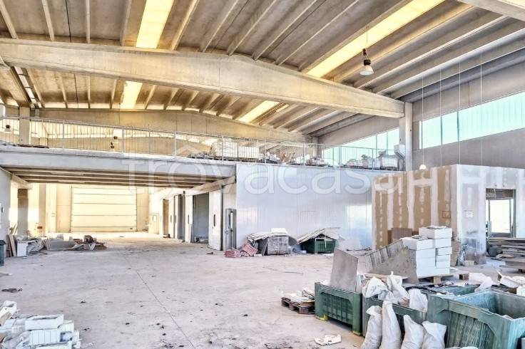 immagine annuncio 7 di 14