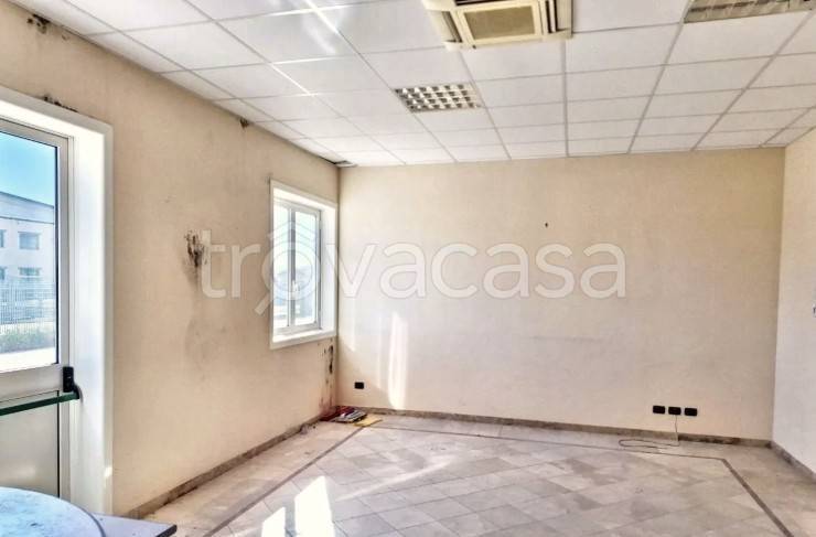 immagine annuncio 8 di 14