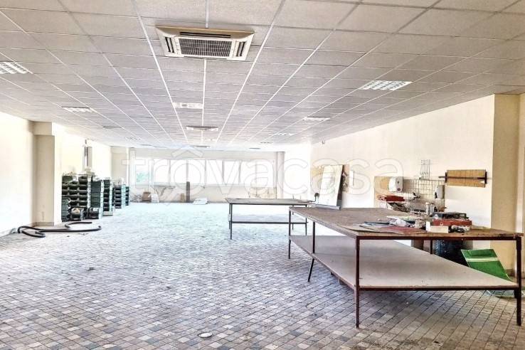 immagine annuncio 9 di 14