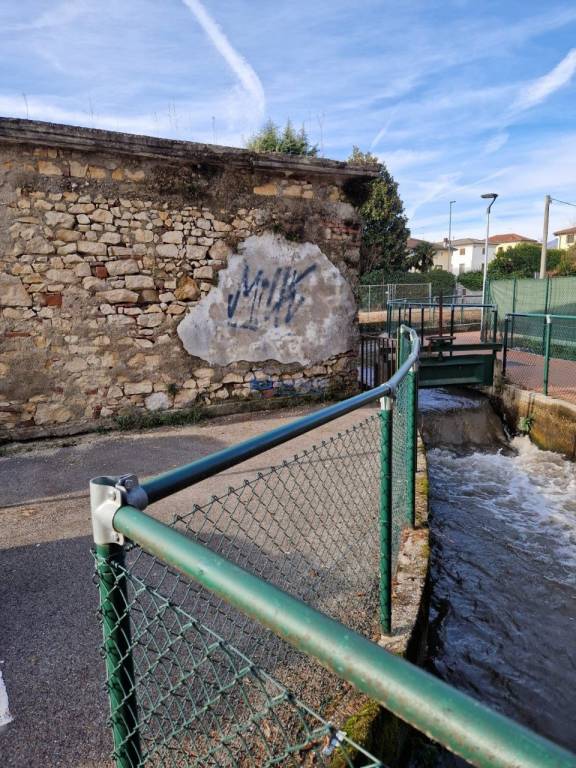 immagine annuncio 1 di 14