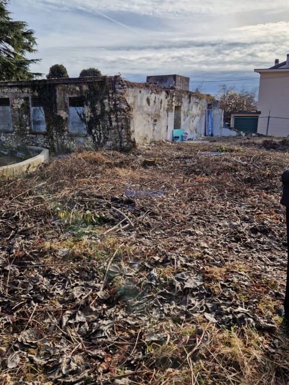 immagine annuncio 11 di 14