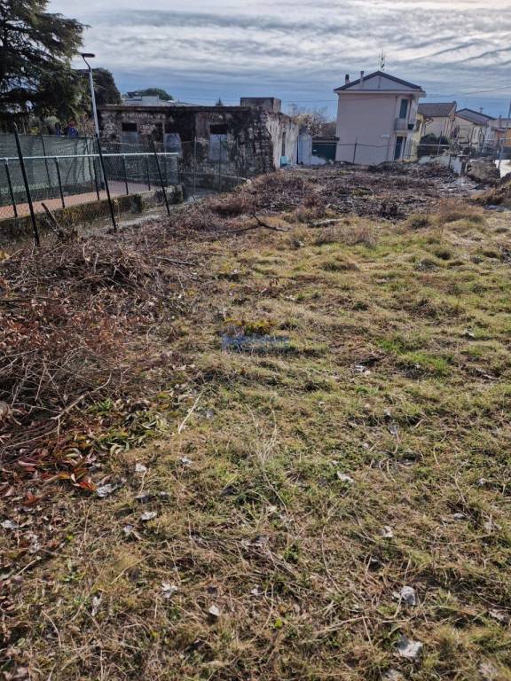 immagine annuncio 12 di 14