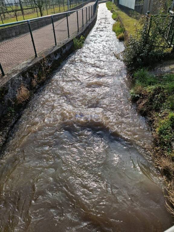 immagine annuncio 13 di 14