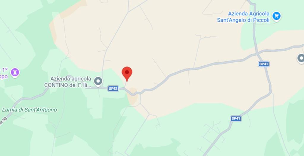 immagine annuncio 5 di 15