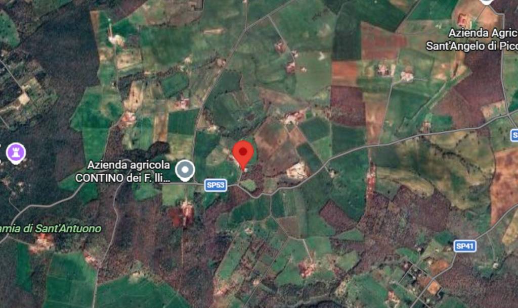 immagine annuncio 9 di 15