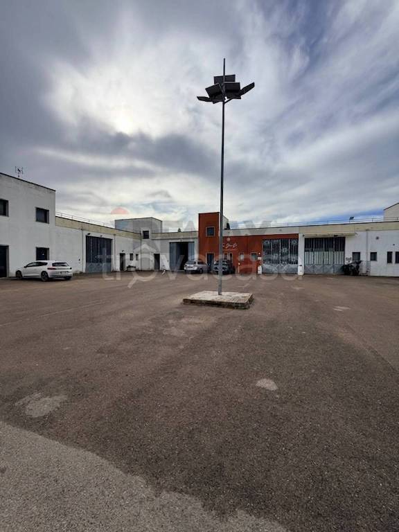 immagine annuncio 2 di 13