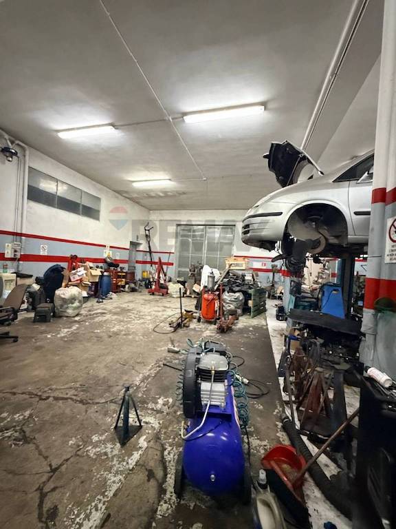 immagine annuncio 7 di 13