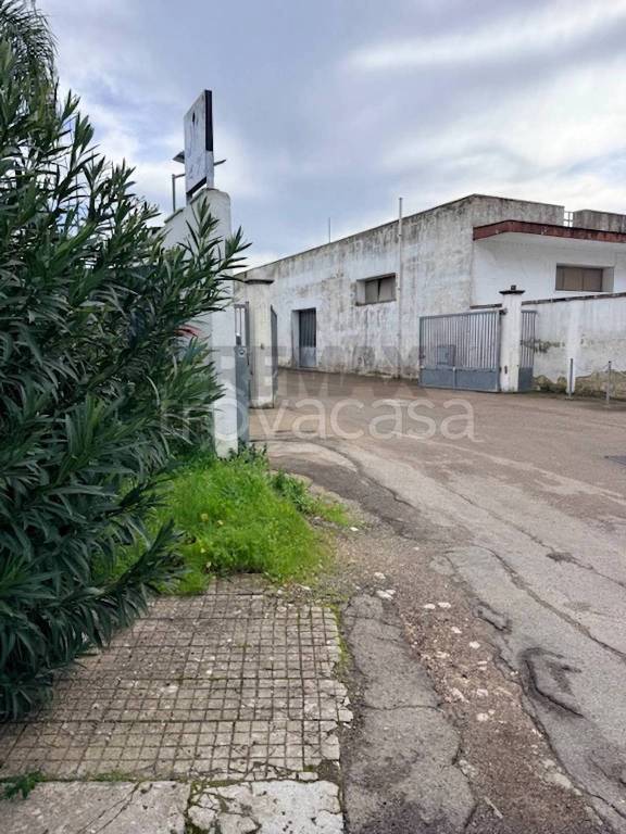 immagine annuncio 10 di 13