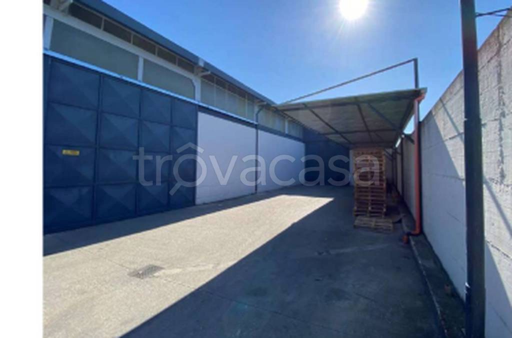 immagine annuncio 11 di 12