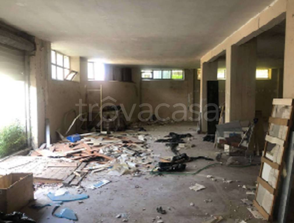 immagine annuncio 7 di 11